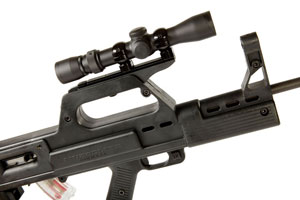 RUGER 10 22 STOCKS